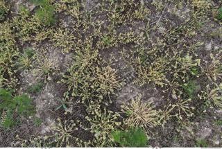 Photo of Various Textures